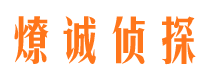 解放市调查公司